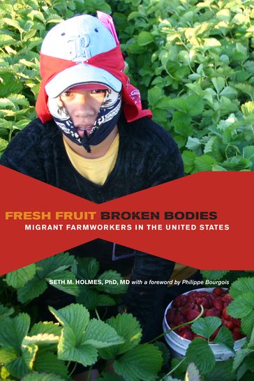 Fresh Fruit, Broken Bodies - Seth M. Holmes