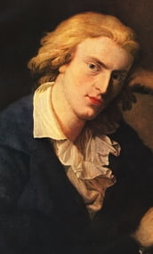 Friedrich Schiller, kokoelma