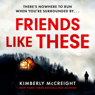 Friends Like These - Kimberly McCreight