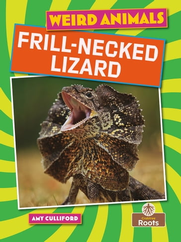 Frill-necked Lizard - Amy Culliford