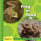 Frog or Toad