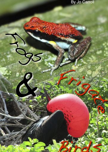 Frogs and Frigate Birds - Jo Carroll