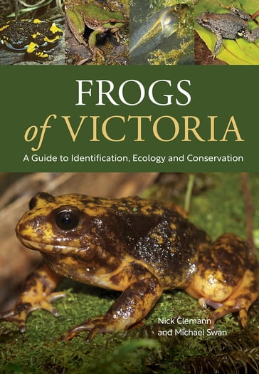 Frogs of Victoria - Nick Clemann - Michael Swan