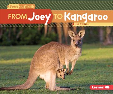 From Joey to Kangaroo - Lisa Owings