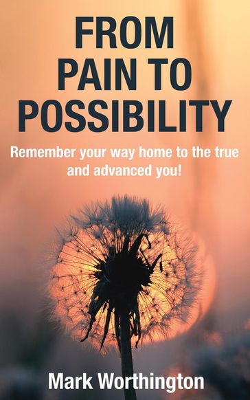 From Pain To Possibility - Mark A Worthington