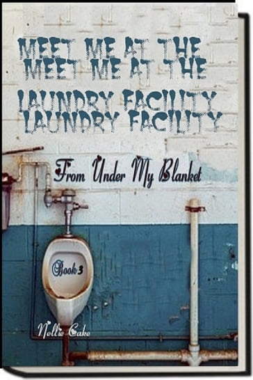 From under My Blanket...Meet Me at the Laundry Facility Book 3 - Nellie Cake