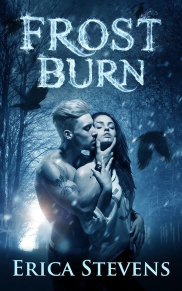 Frost Burn (The Fire and Ice Series, Book 1) - Erica Stevens