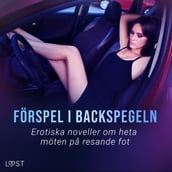 Förspel i backspegeln: Erotiska noveller om heta möten pa resande fot
