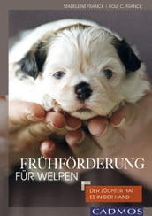 Fruhforderung fur Welpen