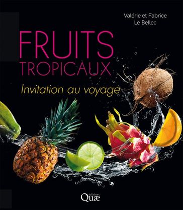Fruits tropicaux - Fabrice Le Bellec - Valérie le Bellec