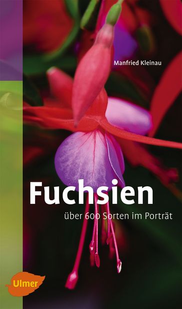 Fuchsien - Manfried Kleinau