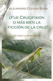 Fue crucifixión o mas bien la ficcion de la cruz?