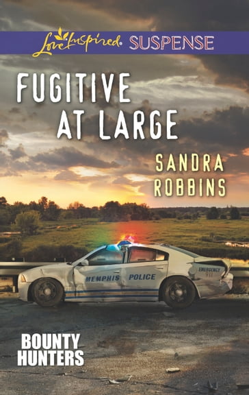 Fugitive at Large - Sandra Robbins