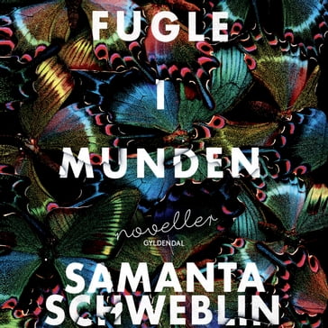 Fugle i munden - Samanta Schweblin