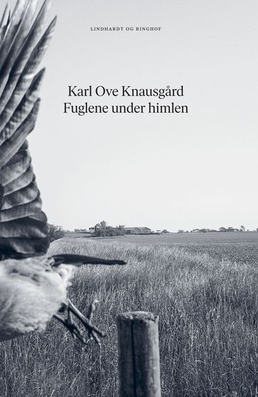 Fuglene under himlen - Karl Ove Knausgard