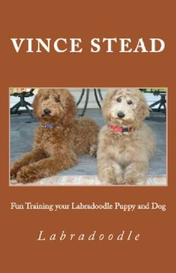 Fun Training your Labradoodle Puppy and Dog - Vince Stead