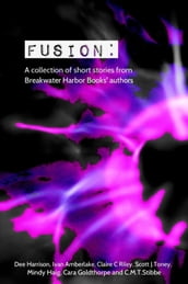 Fusion: A collection of short stories from Breakwater Harbor Books  authors