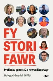 Fy Stori Fawr