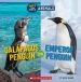 Galapagos Penguin or Emperor Penguin (Hot and Cold Animals)