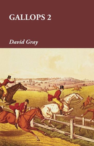 Gallops 2 - David Gray