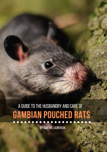 Gambian Pouched Rats : A guide to their husbandry and care - Ismerie Laurencin