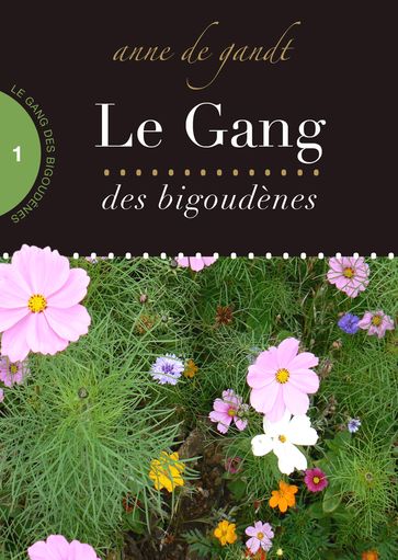 Le Gang des bigoudènes (Saison 1) - Anne de Gandt