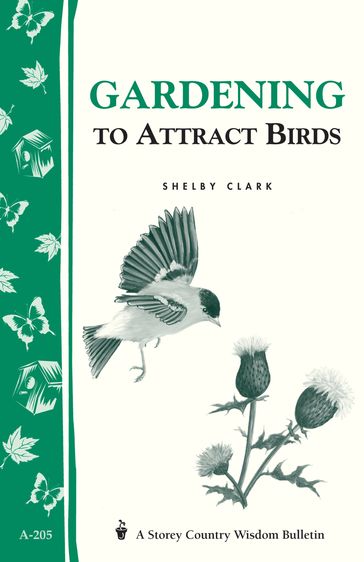 Gardening to Attract Birds - Shelby Clark