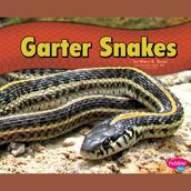 Garter Snakes