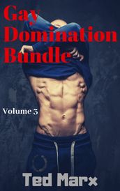 Gay Domination Bundle: Volume 3