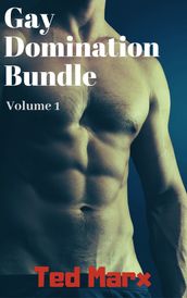 Gay Domination Bundle: Volume 1