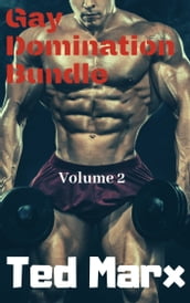 Gay Domination Bundle: Volume 2