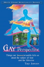 Gay Perspective: Things Our [Homo]sexuality Tells Us About the Nature of God and the Universe