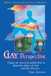 Gay Perspective: Things Our [Homo]sexuality Tells Us about the Nature of God and the Universe