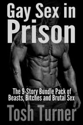 Gay Sex in Prison: The 9-Story Bundle Pack of Beasts, Bitches and Brutal Sex