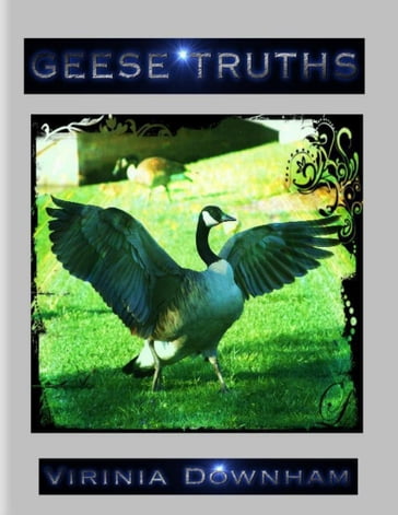 Geese Truths - Virinia Downham