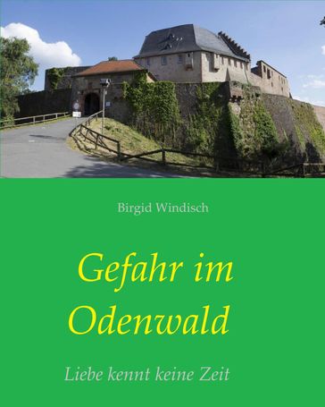 Gefahr im Odenwald - Birgid Windisch