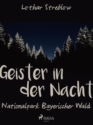 Geister in der Nacht. Nationalpark Bayerischer Wald - Lothar Streblow