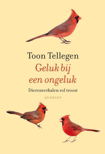 Geluk bij een ongeluk - Toon Tellegen