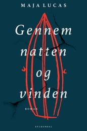 Gennem natten og vinden