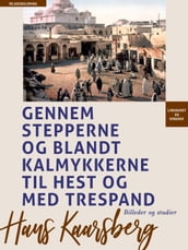 Gennem stepperne og blandt kalmykkerne til hest og med trespand. Billeder og studier