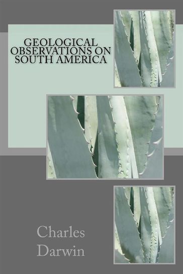 Geological Observations on South America - Charles Darwin