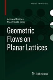 Geometric Flows on Planar Lattices