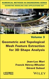 Geometric and Topological Mesh Feature Extraction for 3D Shape Analysis