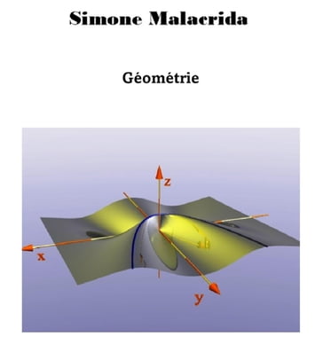 Géométrie - Simone Malacrida