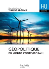 Géopolitique du monde contemporain - Ebook epub