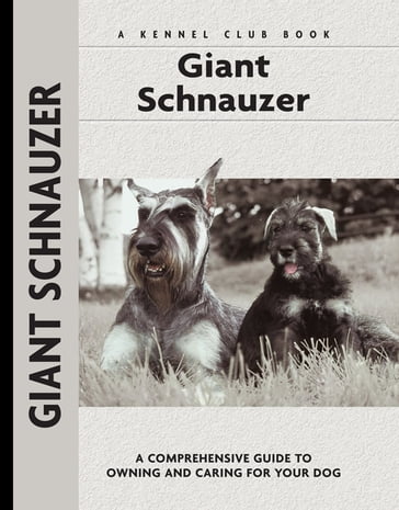 Giant Schnauzer - Barbara J. Andrews