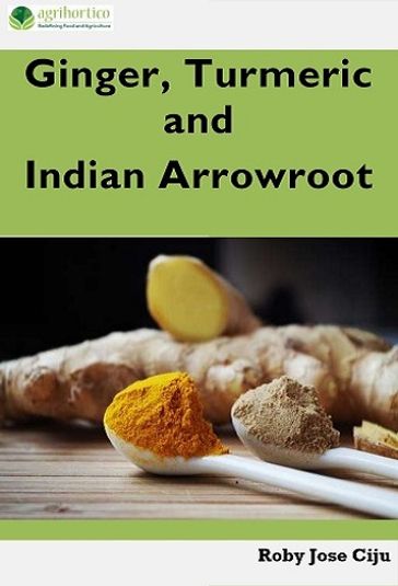 Ginger, Turmeric and Indian Arrowroot - ROBY JOSE CIJU