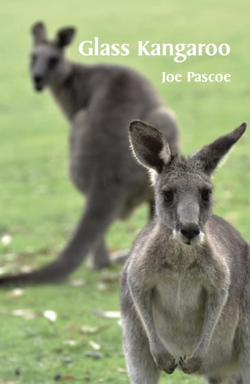 Glass Kangaroo - Joe Pascoe