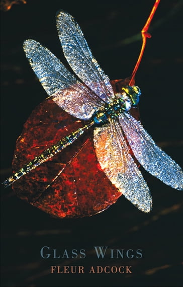 Glass Wings - Fleur Adcock