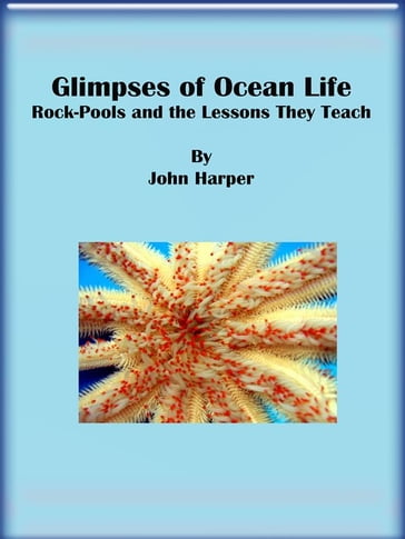 Glimpses of Ocean Life: Rock-Pools and the Lessons They Teach - John Harper